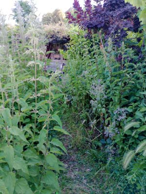 Cursos Fibrart Cursos Fibrart